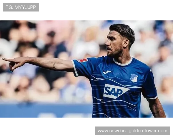 霍芬海姆力争德甲客场三连胜挑战沃尔夫斯堡