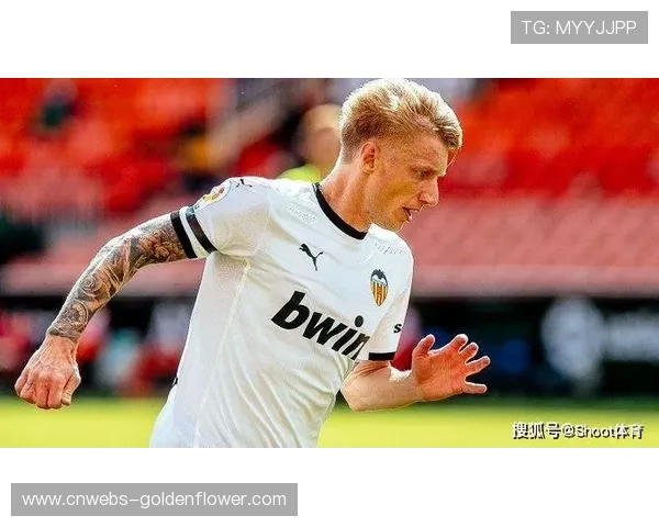 西班牙税务部门调查西甲球员肖像权违规案件