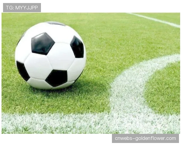 西甲基金会在马德里贫民社区启动“足球回归街头”青训计划