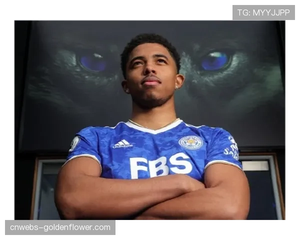 传闻：AC米兰与切尔西就中卫福法纳的转会进行初步接触